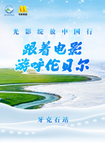 成人激情视频网